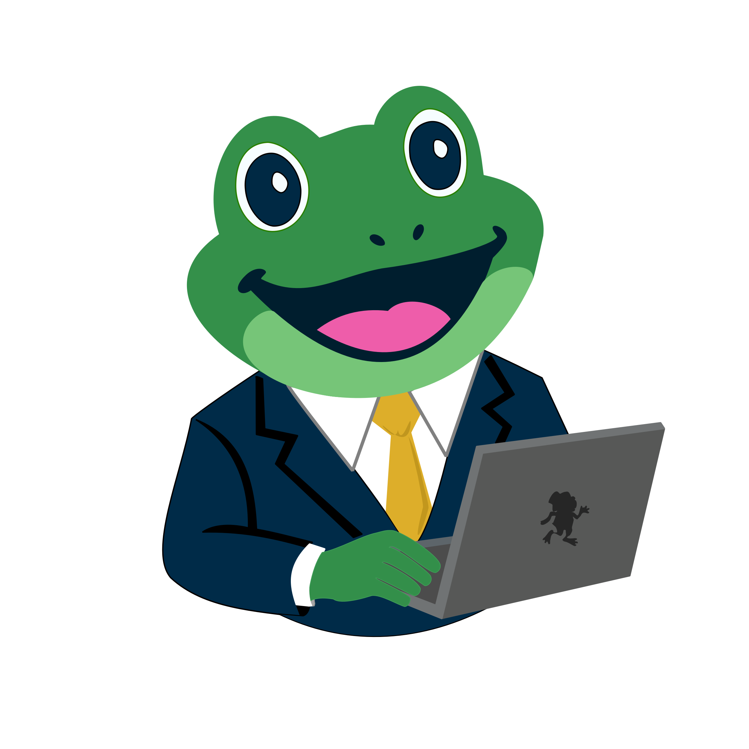 Basic Frog